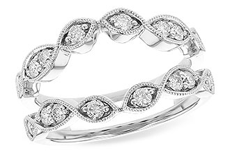 B290-99629: GUARD RG .50 TW