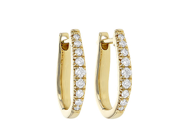 C208-21429: EARR .25 TW