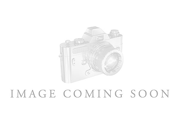 F202-81365: LDS WED RG 3.00 TW