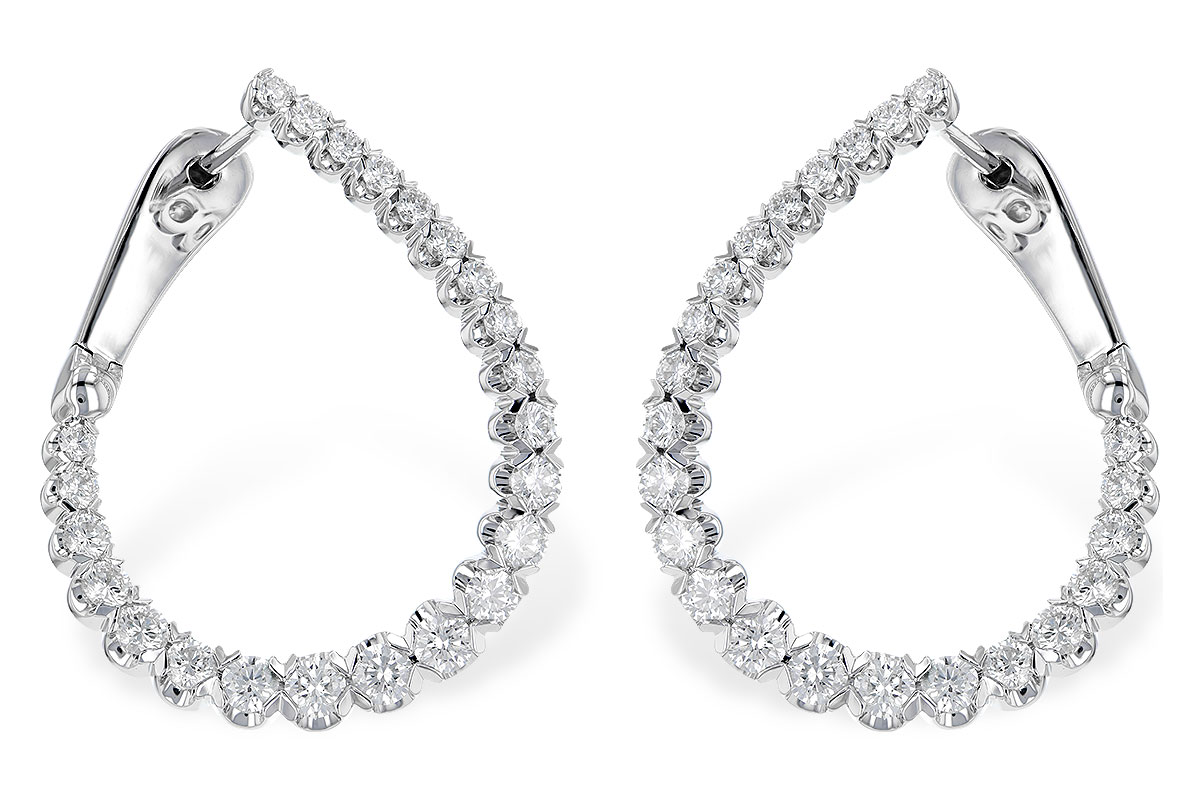 G290-96820: EARR 2.00 TW