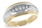 K206-45011: GTS WED RG .23 TW