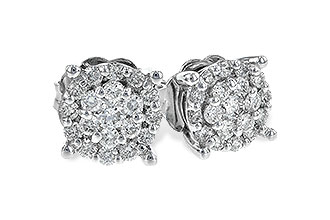 L207-35056: EARR .25 TW